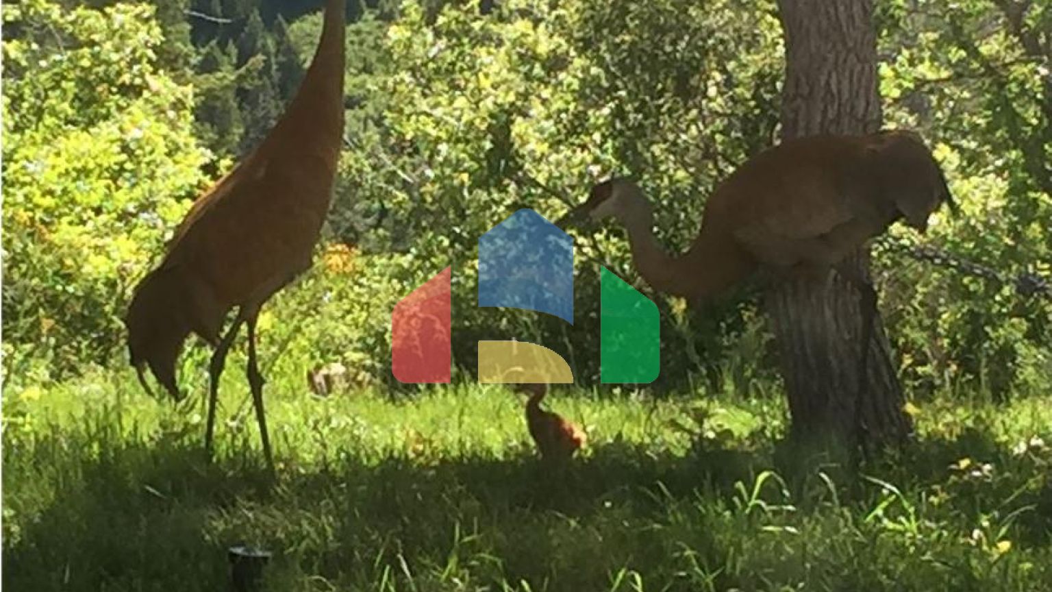 Residential - Single Family Home - Park City, Utah, United States - United States