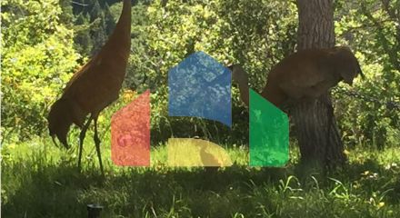 Residential - Single Family Home - Park City, Utah, United States - United States