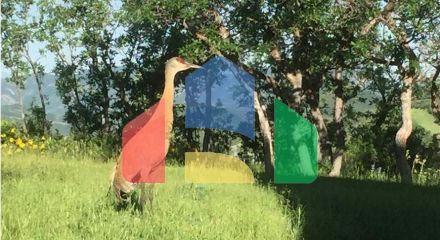 Residential - Single Family Home - Park City, Utah, United States - United States