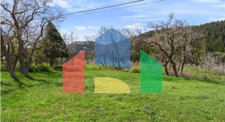 Residential - Single Family Home - Park City, Utah, United States - United States