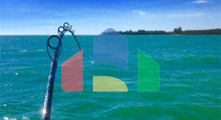 Residential - Single Family Home - Naples, Florida, United States - United States