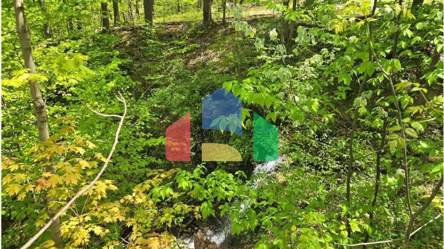 Residential - Single Family Home - Naples, New York, United States - United States