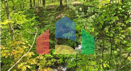 Residential - Single Family Home - Naples, New York, United States - United States