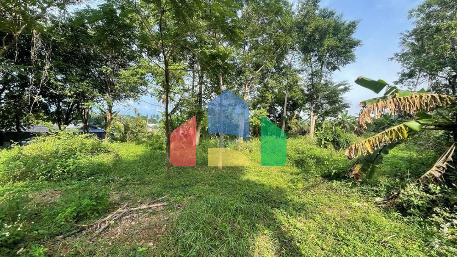 Residential - Land - Koh Samui, Surat Thani - TH