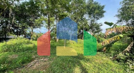 Residential - Land - Koh Samui, Surat Thani - TH Residential - Land - Koh Samui, Surat Thani - TH