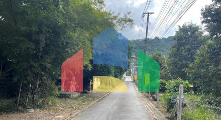 Residential - Land - Koh Samui, Surat Thani - TH