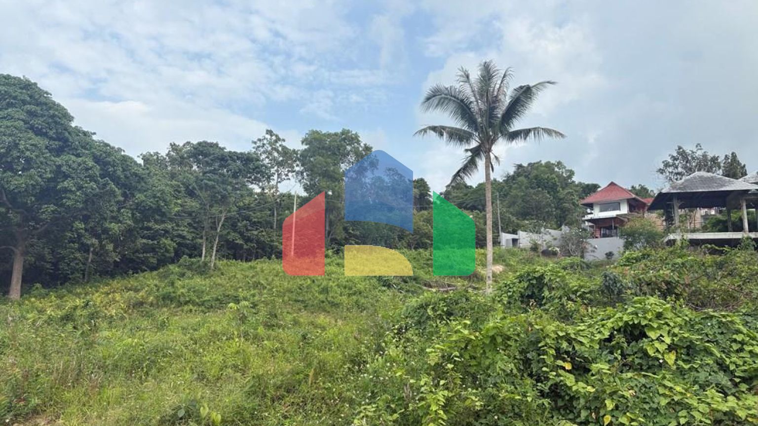 Residential - Land - Koh Samui, Surat Thani - TH