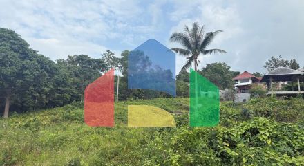 Residential - Land - Koh Samui, Surat Thani - TH