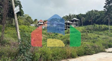 Residential - Land - Koh Samui, Surat Thani - TH