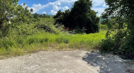 Residential - Land - Koh Samui, Surat Thani - TH
