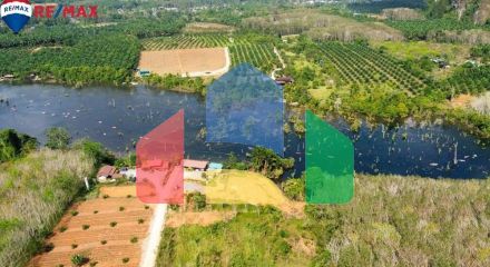 Residential - Land - Mueang Krabi, Krabi - TH Residential - Land - Mueang Krabi, Krabi - TH