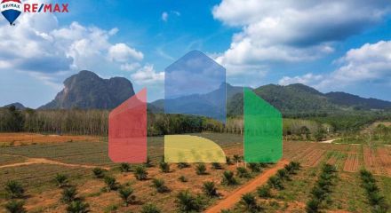 Residential - Land - Mueang Krabi, Krabi - TH Residential - Land - Mueang Krabi, Krabi - TH