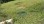 Residential - Plot of Land for Hospitality Development - Podsljeme, Croatia - HR