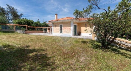 Residential - Single Family Home - T4 - Benedita, Alcobaca - PT