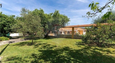 Residential - Single Family Home - T4 - Benedita, Alcobaca - PT