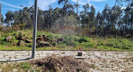 Residential - Land - Fajoes, Oliveira de Azemeis - PT