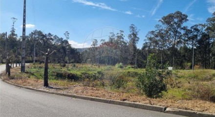 Residential - Land - Fajoes, Oliveira de Azemeis - PT