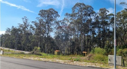 Residential - Land - Fajoes, Oliveira de Azemeis - PT