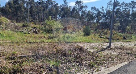 Residential - Land - Fajoes, Oliveira de Azemeis - PT