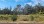 Residential - Land - Fajoes, Oliveira de Azemeis - PT