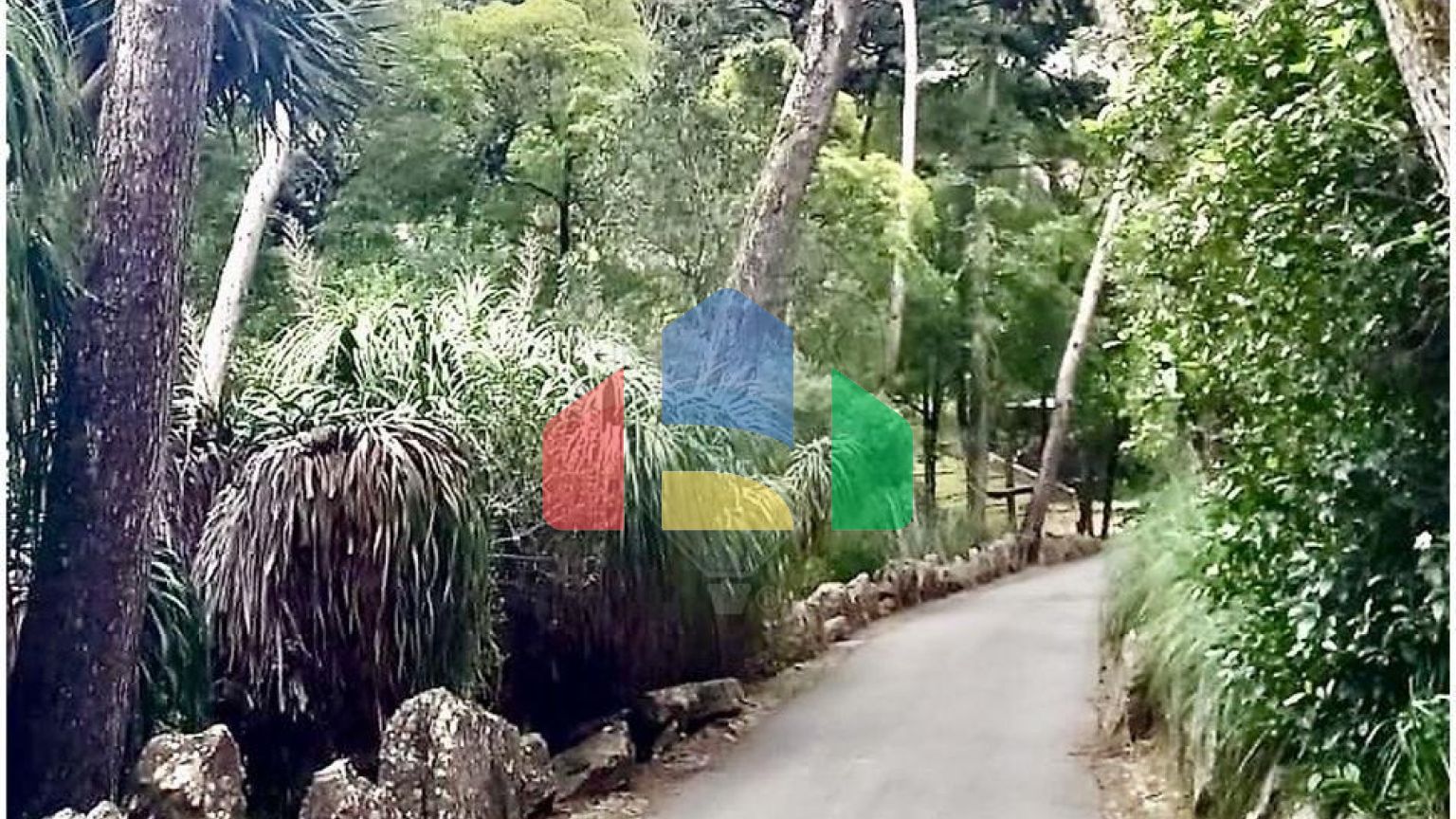 Residential - Condo/Apartment - T3 - Cascais e Estoril, Cascais - PT