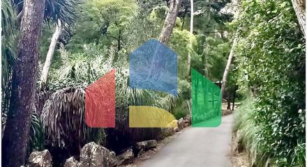 Residential - Condo/Apartment - T3 - Cascais e Estoril, Cascais - PT