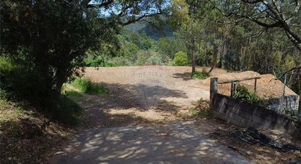 Residential - Land - Torres do Mondego, Coimbra - PT