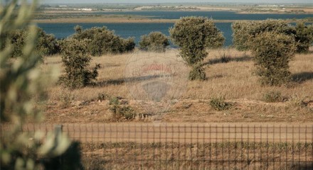 Residential - Farm - T4 - Ervidel, Aljustrel - PT