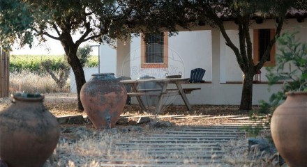 Residential - Farm - T4 - Ervidel, Aljustrel - PT