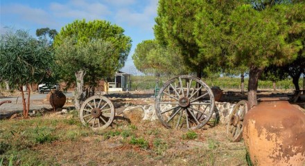 Residential - Farm - T4 - Ervidel, Aljustrel - PT