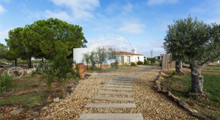 Residential - Farm - T4 - Ervidel, Aljustrel - PT