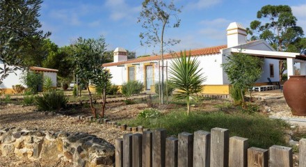 Residential - Farm - T4 - Ervidel, Aljustrel - PT