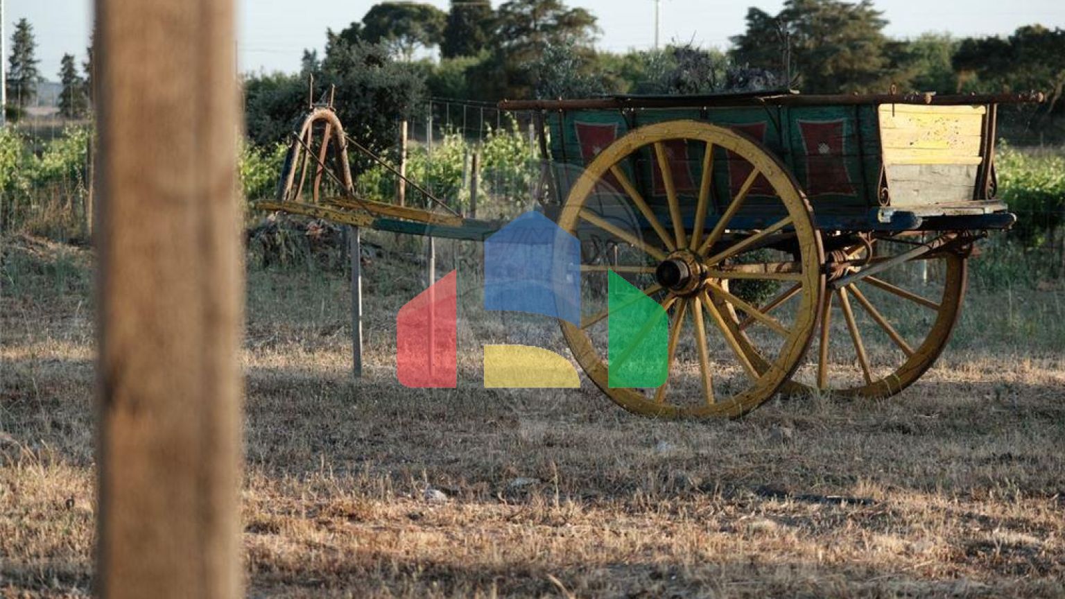 Residential - Farm - T4 - Ervidel, Aljustrel - PT