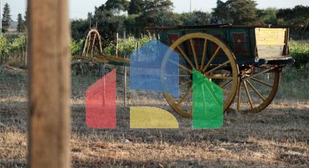 Residential - Farm - T4 - Ervidel, Aljustrel - PT Residential - Farm - T4 - Ervidel, Aljustrel - PT