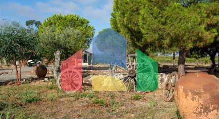 Residential - Farm - T4 - Ervidel, Aljustrel - PT Residential - Farm - T4 - Ervidel, Aljustrel - PT