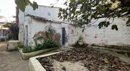 Residential - Single Family Home - T4 - Ervidel, Aljustrel - PT