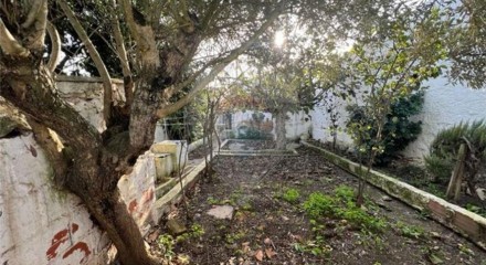 Residential - Single Family Home - T4 - Ervidel, Aljustrel - PT