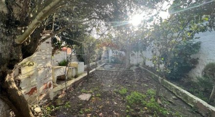 Residential - Single Family Home - T4 - Ervidel, Aljustrel - PT