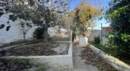 Residential - Single Family Home - T4 - Ervidel, Aljustrel - PT