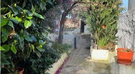 Residential - Single Family Home - T4 - Ervidel, Aljustrel - PT