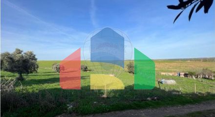 Residential - Single Family Home - T4 - Ervidel, Aljustrel - PT Residential - Single Family Home - T4 - Ervidel, Aljustrel - PT