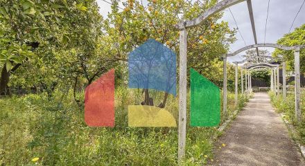 Residential - Single Family Home - T2 - Fernao Ferro, Seixal - PT