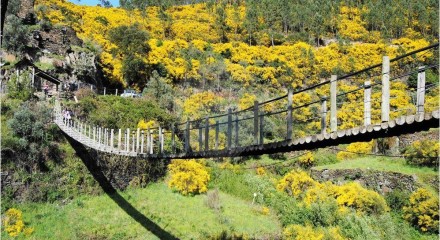 Residential - Farm - T12 - Cerdeira e Moura da Serra, Arganil - PT