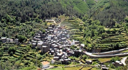 Residential - Farm - T12 - Cerdeira e Moura da Serra, Arganil - PT