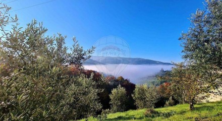 Residential - Farm - T12 - Cerdeira e Moura da Serra, Arganil - PT