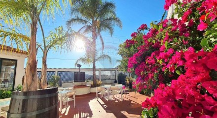 Residential - Farm - T12 - Cerdeira e Moura da Serra, Arganil - PT