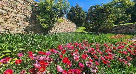 Residential - Farm - T12 - Cerdeira e Moura da Serra, Arganil - PT