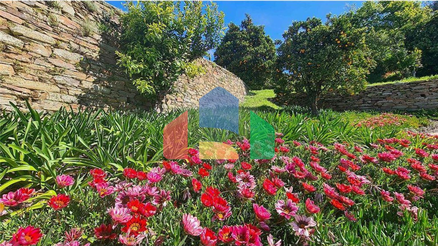 Residential - Farm - T12 - Cerdeira e Moura da Serra, Arganil - PT