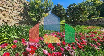 Residential - Farm - T12 - Cerdeira e Moura da Serra, Arganil - PT