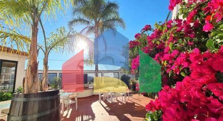 Residential - Farm - T12 - Cerdeira e Moura da Serra, Arganil - PT